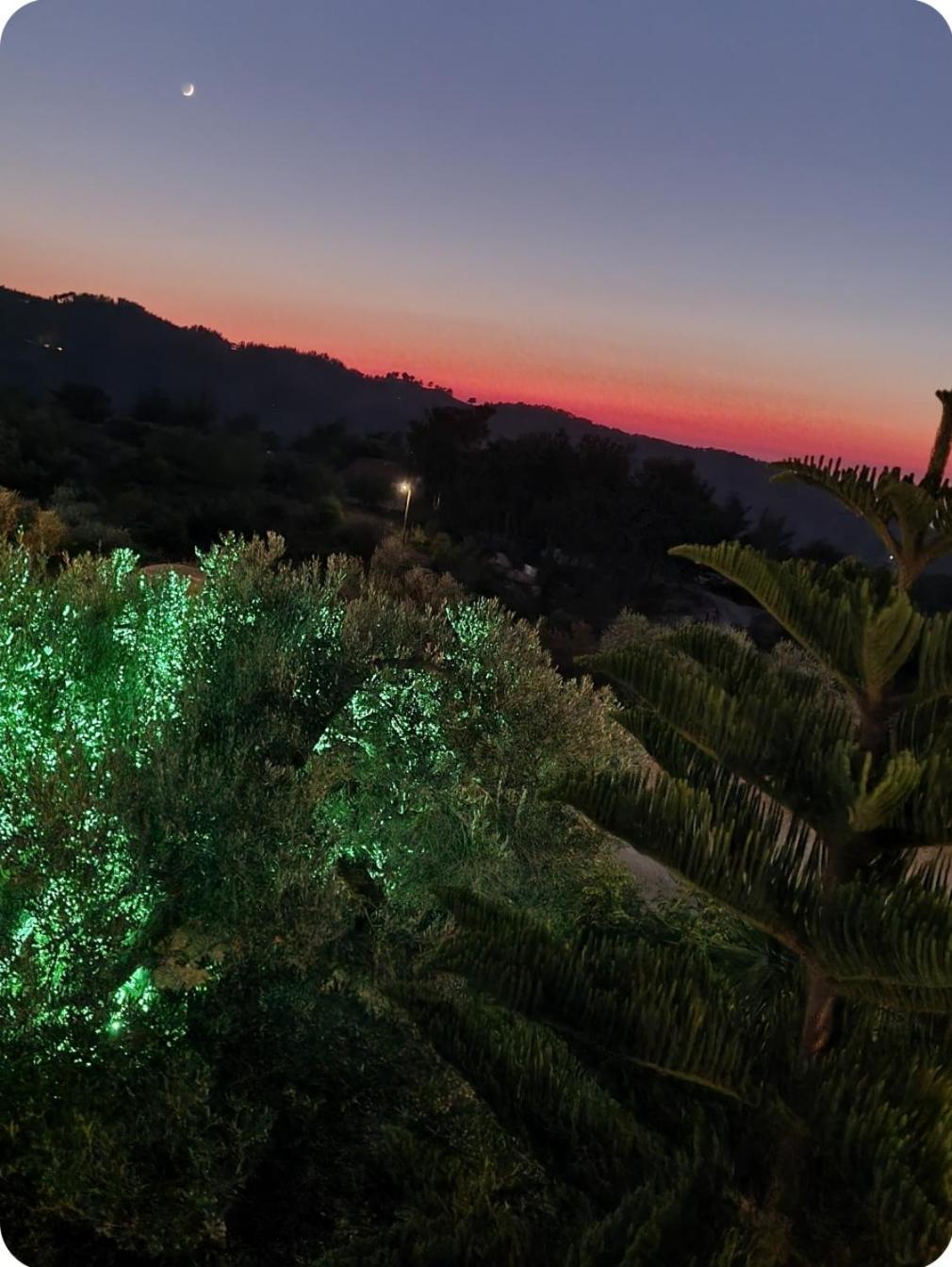 Spitikariotiko Panoramic Home Raches  ภายนอก รูปภาพ